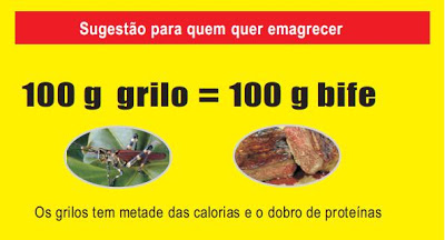 Natureza - Insetos Comestiveis - Grilos