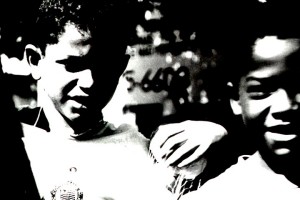 cotas raciais universidades