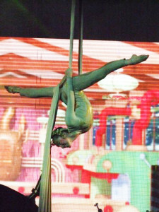 Debora_Scarcelli_tecido_acrobatico_gente_nova_revista_02