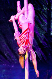 Debora_Scarcelli_tecido_acrobatico_gente_nova_revista_circo_dos_sonhos_11