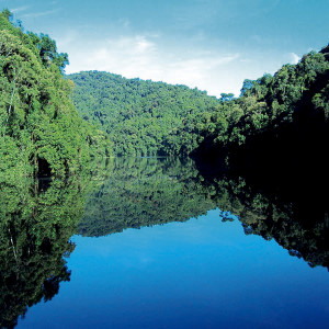 Parque_estadual_cantareira_05