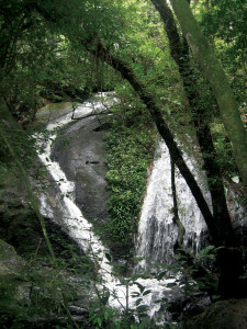 Parque_estadual_cantareira_cachoeira