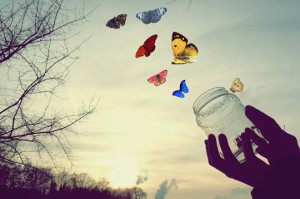 5325074728_116230b4ca_o