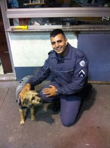 11222478_1647847148785867_4592632972717128290_n